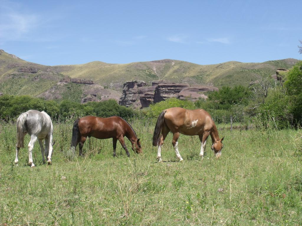 Ongamira Turismo Rural Ξενοδοχείο Κόρδοβα Εξωτερικό φωτογραφία