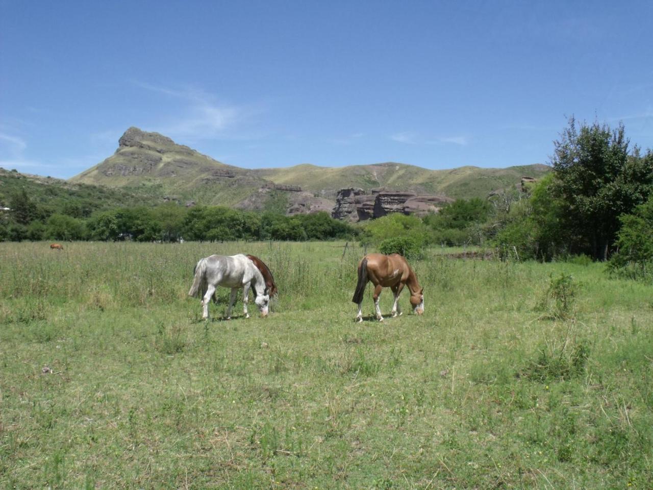 Ongamira Turismo Rural Ξενοδοχείο Κόρδοβα Εξωτερικό φωτογραφία
